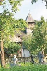 Manastirea din gradina cu meri: Magina
