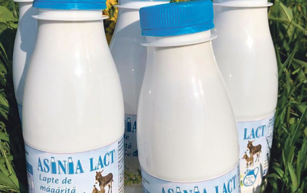 Lapte De Magarita In Supermarket - asngmn