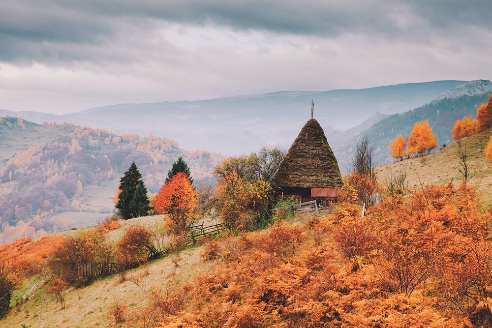 Ce este varicele periculoase?